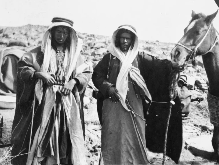 المرشدي وش يرجع ؟ وما هو نسب العائلة