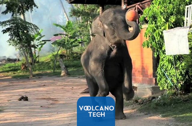 أبرز الوجهات السياحية في بوكيت