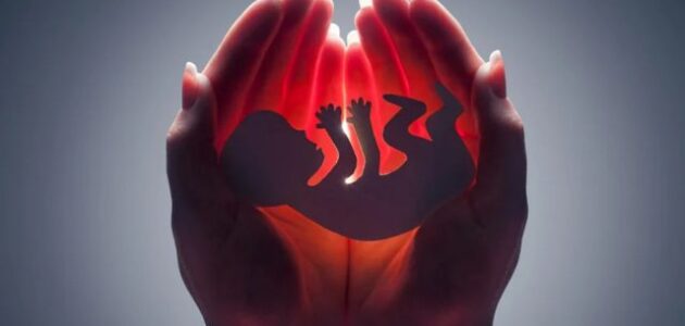 افرازات تدل على الاجهاض