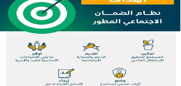 الضمان الاجتماعي المطور يحقق حلم العمل لأكثر من 61 ألف شخص