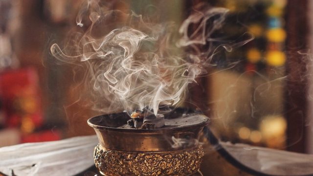 فائدة لبان سمارة واضراره