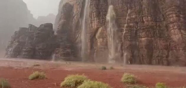 تعليق الدراسة حضوريا غدا الاثنين في جامعة الملك خالد وجامعة بيشة