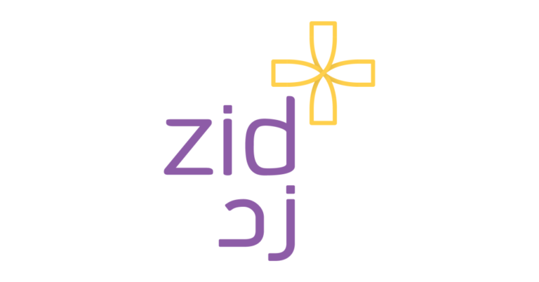 مقارنة بين منصة زد وسلة ومميزات وعيوب منصة زد وسلة