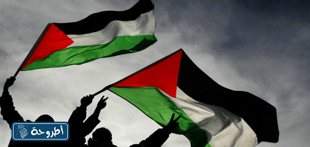 هل تدعم أمازون فلسطين؟