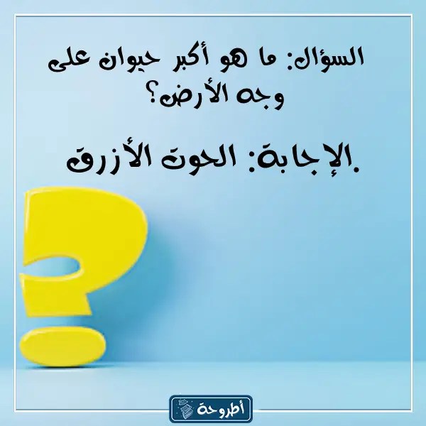 اسئلة عامة للمسابقات بالصور