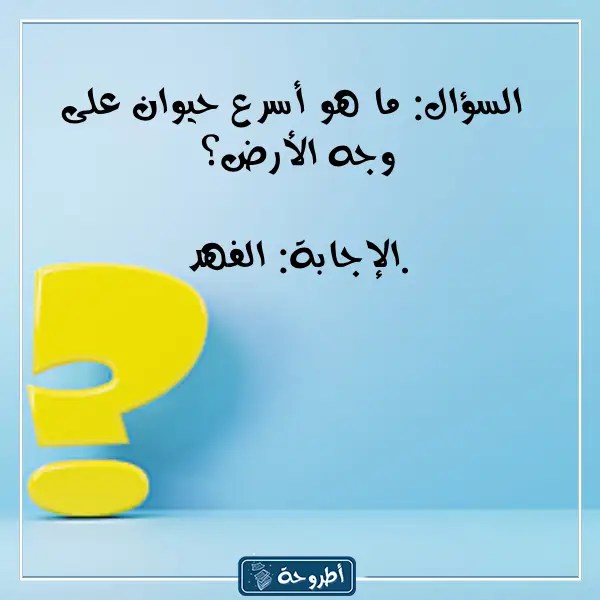 اسئلة عامة للمسابقات بالصور