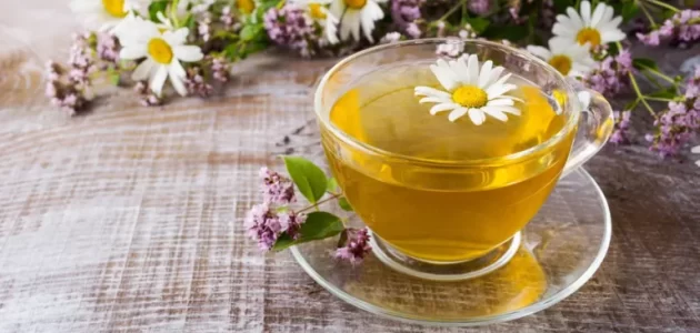 البابونج مفيد للأرق لكن يجب استخدامه بحذر لهذه الفئات