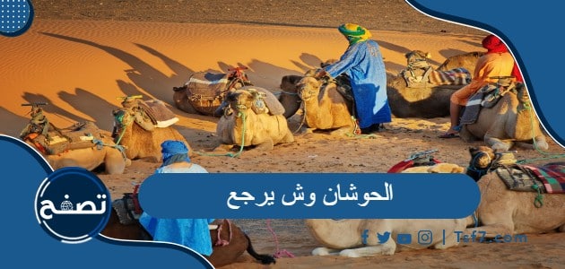 الحوشان وش يرجع وما أشهر فروع هذه العائلة