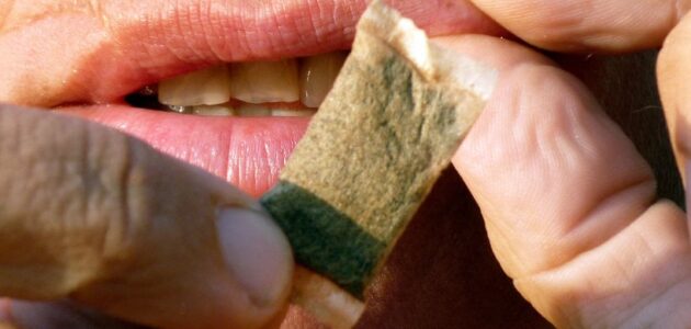 السويد أول بلد أوروبي خاليًا من التدخين بفضل كيس إلسنوس.. فما هو ؟