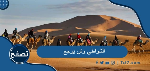 الشواطي وش يرجع وأهم الشخصيات في عائلة الشواطي