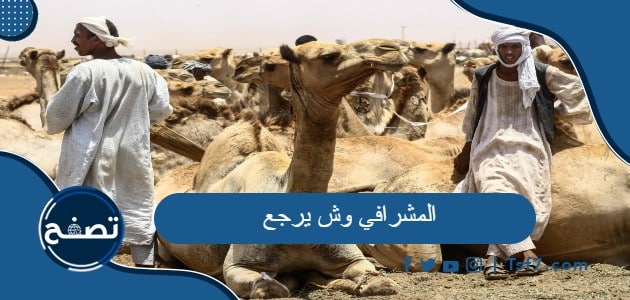 المشرافي وش يرجع ومن أي قبيلة أصلها