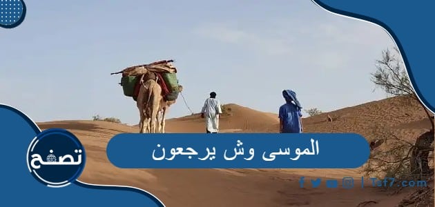 الموسى وش يرجعون وفروع آل موسى