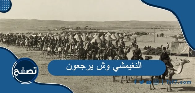 النغيمشي وش يرجعون ومناطق انتشار عائلة النغيمشي