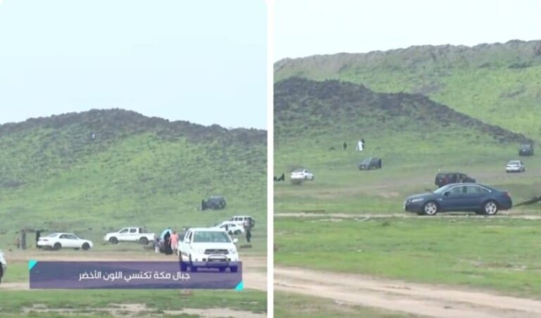 بعد هطول الأمطار.. شاهد جبال مكة تكتسي باللون الأخضر