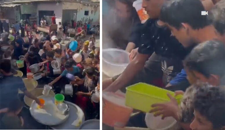 شاهد أطفال نازحون من غزة يتزاحمون للحصول على طبق عدس