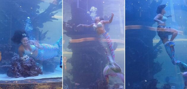 شاهد امرأة تعمل كحورية بحر تتعرض لموقف يحبس الأنفاس أمام المتفرجين