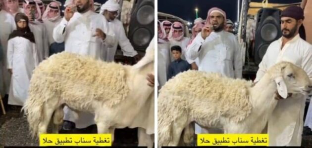 شاهد بيع خروف في مزاد بسعر صادم