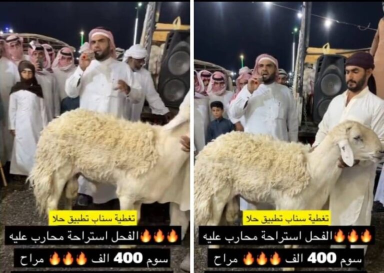 شاهد بيع خروف في مزاد بسعر صادم