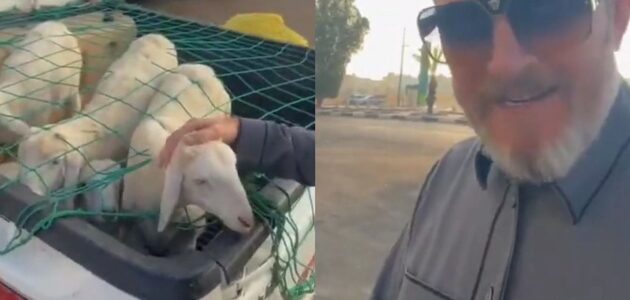 شاهد مقيم أجنبي يشيد بتعامل السعوديين مع الحيوانات
