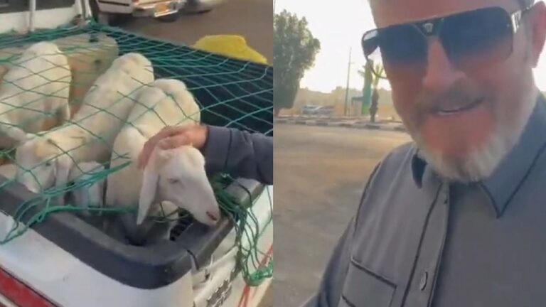 شاهد مقيم أجنبي يشيد بتعامل السعوديين مع الحيوانات
