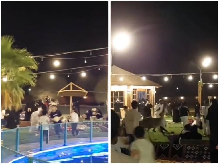 شاهد نعامة تركض بسرعة وتثير الهلع بين الزوار في إحدى فعاليات موسم الرياض