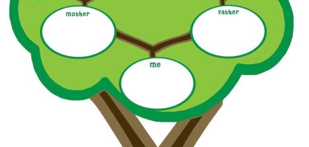 طريقة رسم شجرة العائلة للاطفال بالخطوات