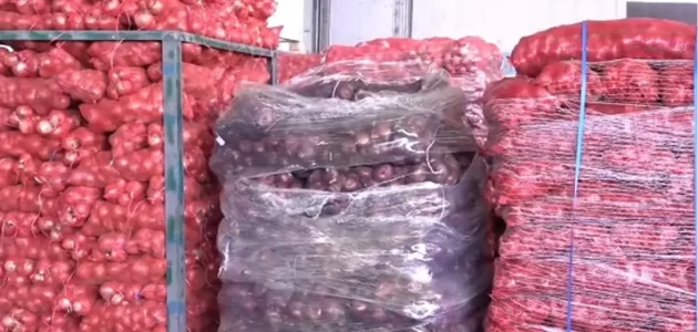 عااجل أسباب ارتفاع سعر البصل في أسواق المملكة العربية السعودية بنسبة 200 %