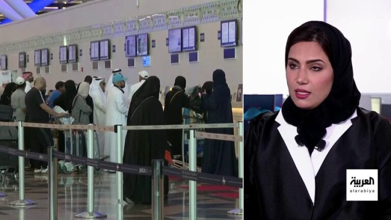 فيديو.. الهيئة العامة للطيران المدني توضح آلية رفع شكوى على شركات الطيران