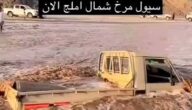 فيديو.. سيارتان تغرقان في سيول وادي مرخ شمال أملج