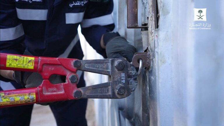 فيديو.. ضبط عمالة مخالفة تقوم بالغش في الدقيق المدعوم في الرياض
