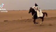 فيديو.. فارسة سعودية ماهرة تستعرض مهاراتها في ركوب الخيل ورمي السهام
