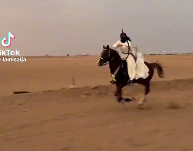 فيديو.. فارسة سعودية ماهرة تستعرض مهاراتها في ركوب الخيل ورمي السهام