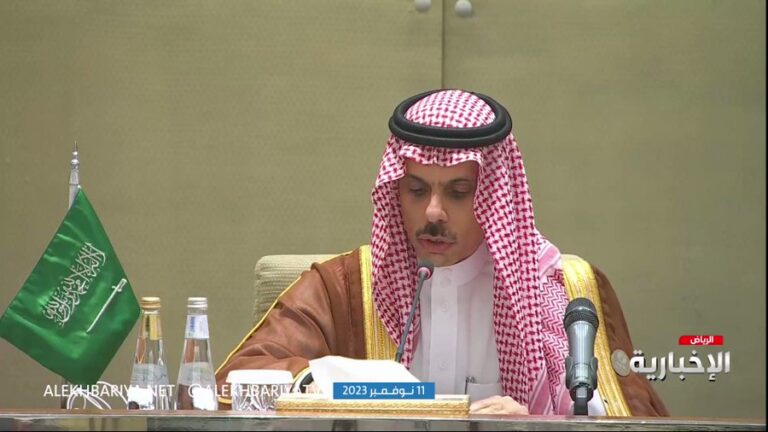 فيديو.. وزير الخارجية يدعو لمواصلة تحقيق المحكمة الجنائية الدولية في جرائم إسرائيل