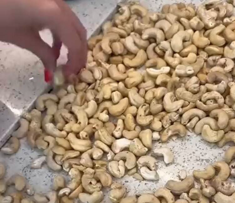 فيديو يُظهر اكتشاف دودة داخل حبة كاجو يثير قلق مستخدمي وسائل التواصل الاجتماعي