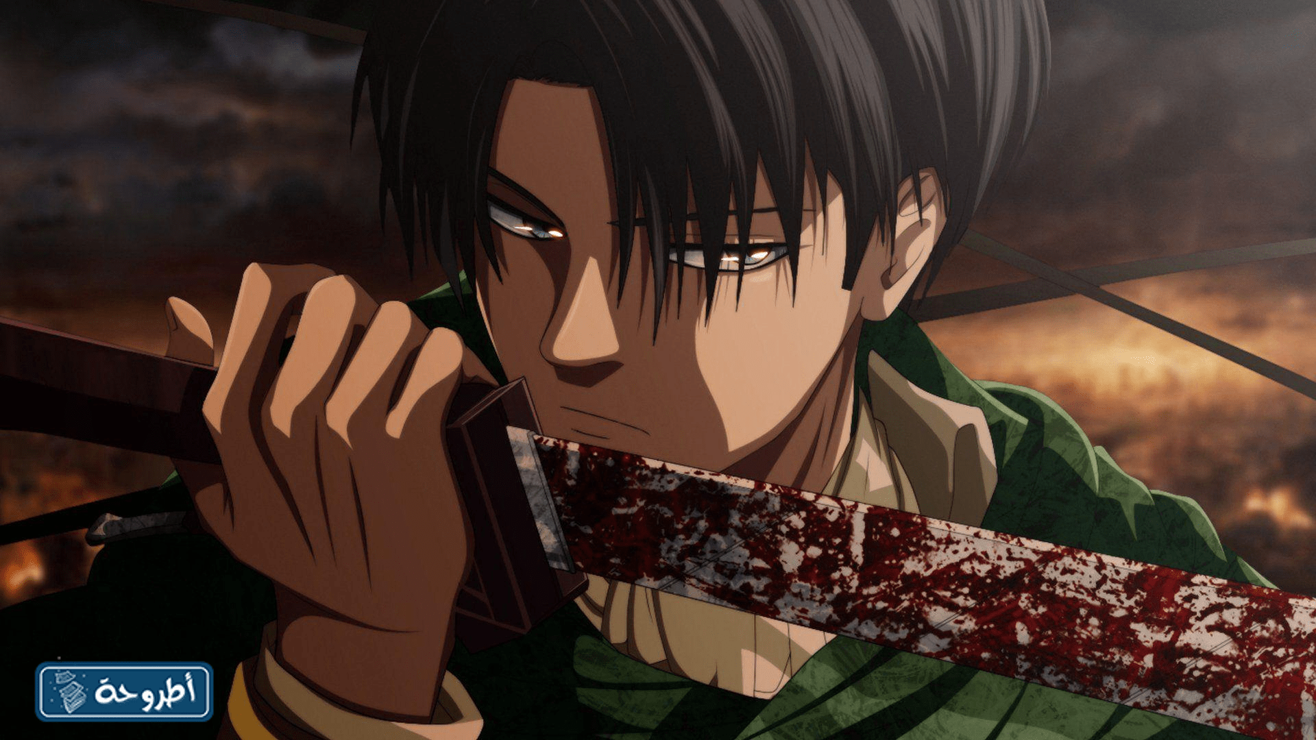 ليفي أكرمان