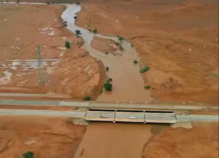 مقطع فيديو يوثق لحظة اندماج شعيبي الحسكي ومرخ في الرياض بعد هطول الأمطار الغزيرة