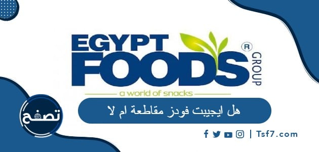 هل ايجيبت فودز مقاطعة ام لا ومعلومات عن هذه الشركة