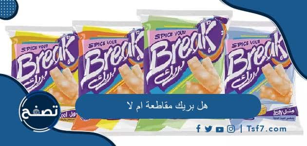 هل بريك مقاطعة ام لا وما هي أهم منتجات شركة بريك سناكس