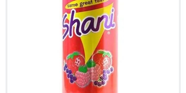 هل شاني يدعم اسرائيل ضد غزة وفلسطين