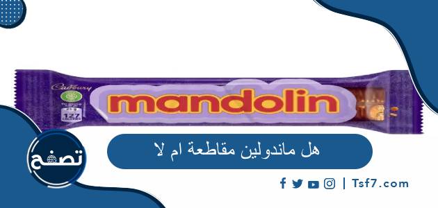 هل ماندولين مقاطعة ام لا وما هي الشركة التي تتبع لها