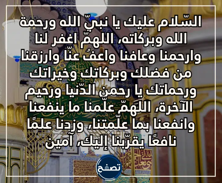 طلب زيارة روضة النبيلة بالصور