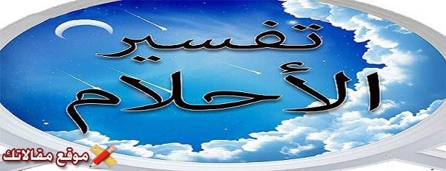 أهم 12 تفسير حلم الجاتوه في المنام للعزباء والمتزوجة – صقور الخليج