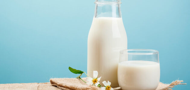 أين يباع لبن الكفير في السعودية