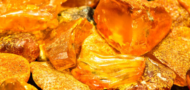 العنبر للتسمين جابر القحطاني وصفات العنبر لزيادة الوزن