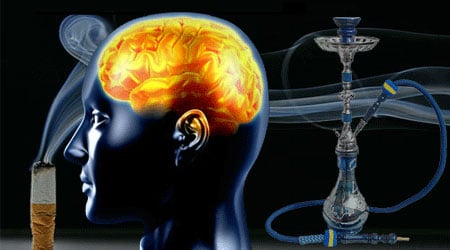 النمر يوضح تأثير التدخين على الدماغ