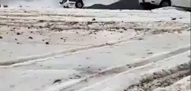 تساقط الثلوج على جبل اللوز في تبوك وإقبال المتنزهين على الاستمتاع بالأجواء الشتوية -فيديو