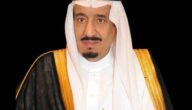 خادم الحرمين يُصدر عدد من الأوامر الملكية
