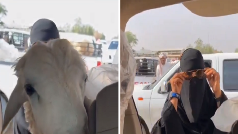 شاهد امرأة تبيع خروفها في حراج الغنم وتثير التفاعل