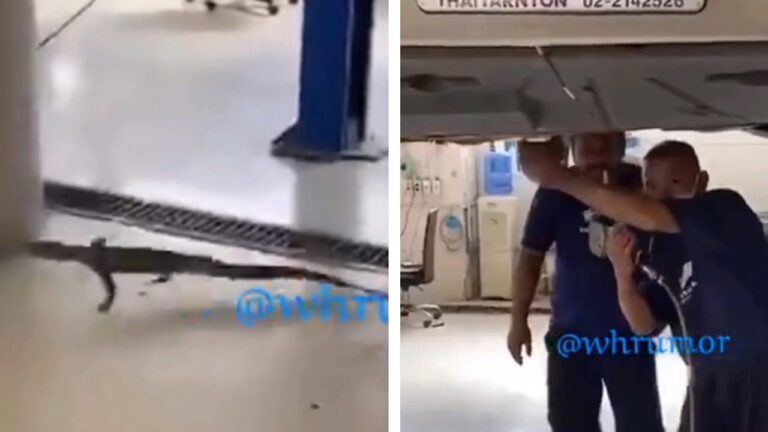شاهد شخص ذهب للوكالة يشتكي من صوت في السيارة فكانت الصدمة