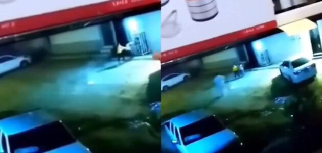 شاهد طفل شجاع ينقذ طفلة بطريقة ذكية من التماس كهربائي